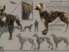 04_01_Abella_CanineCreature
