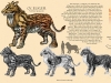 06_01_Abella_FelineCreatureDesign