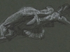 WI07_Roni_005