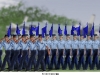 Basic_Grad-2