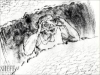 frame12